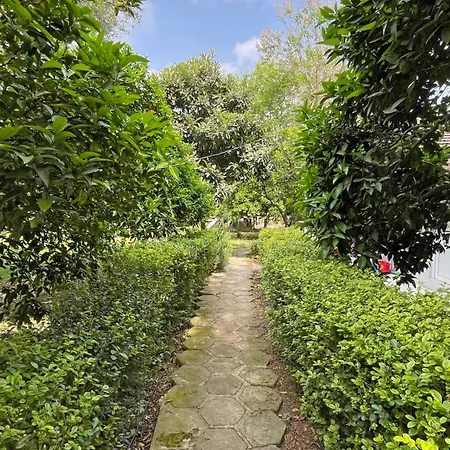 Garden Pansiyon Cirali Kemer Exterior photo